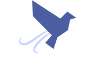 new-jav.xvideos69.org